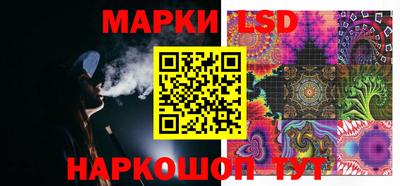 apvp Нальчик
